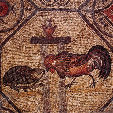 La cripta degli scavi