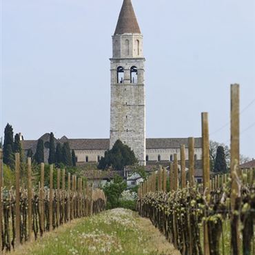Immagine (1)